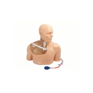 Gen II Central Line Ultrasound Training Model