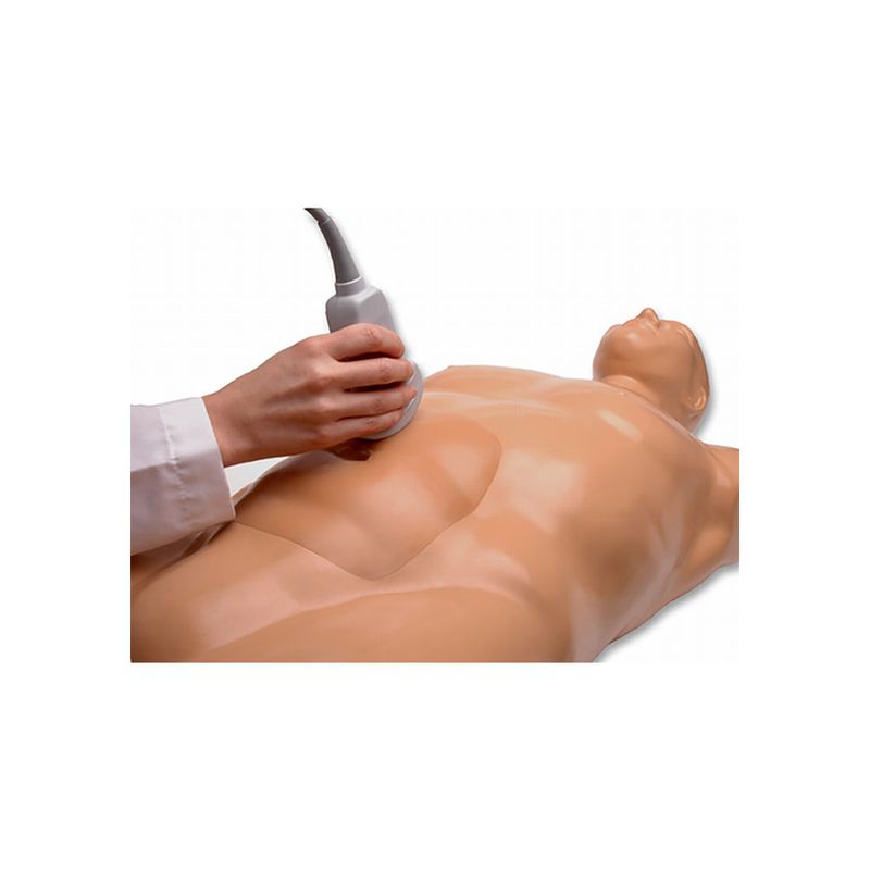 aaa-ultrasound_medical_training_mannequin_transducer