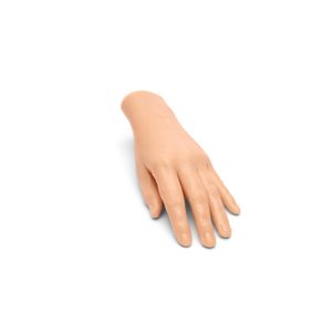 Small Adult Hand